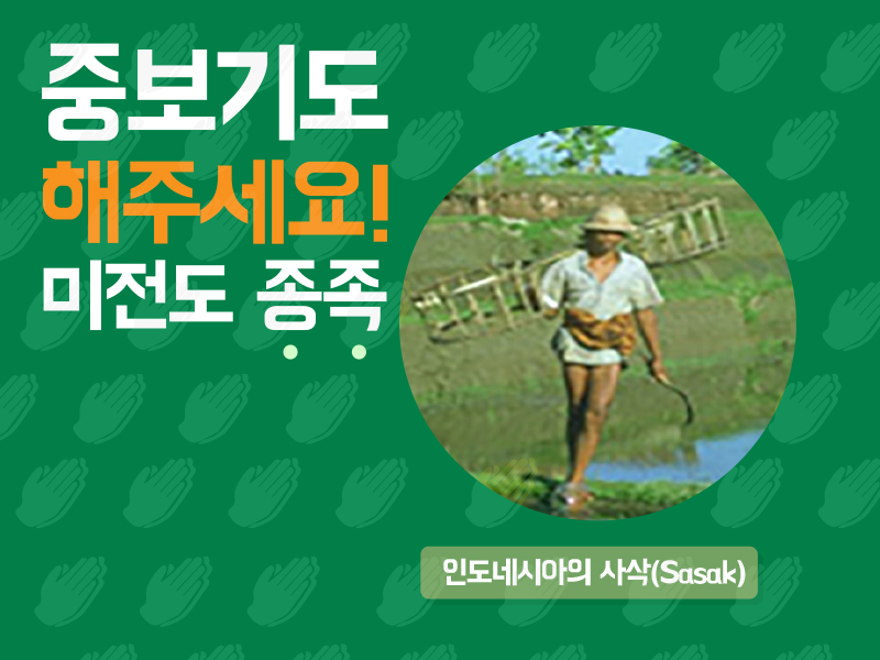 인도네시아의 사삭(Sasak)