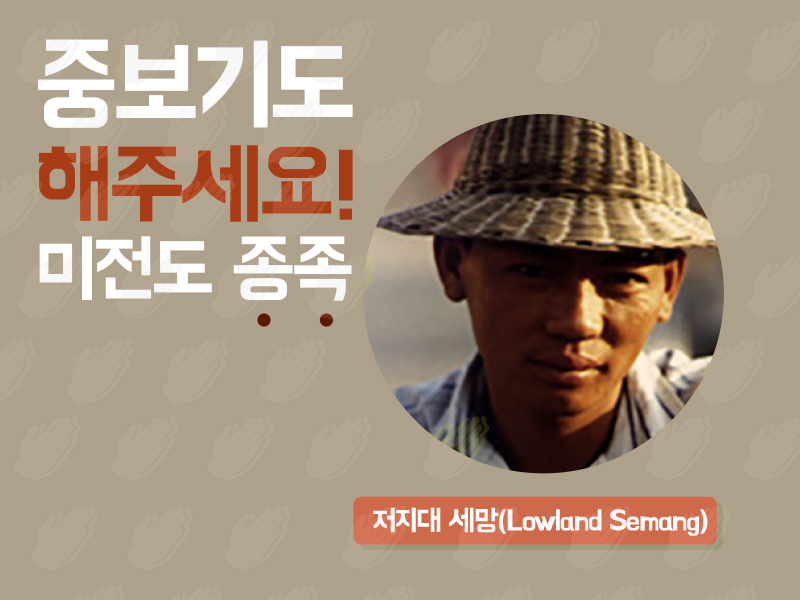 저지대 세망(Lowland Semang)
