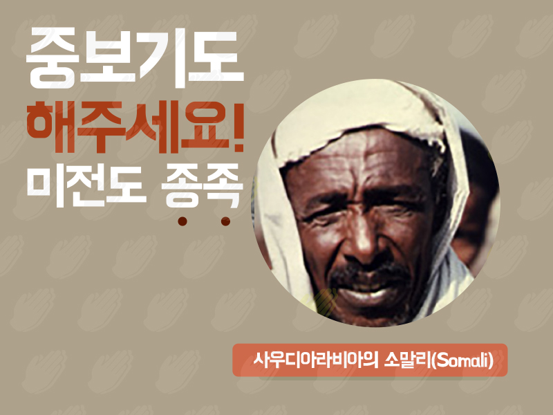 사우디아라비아의 소말리(Somali)