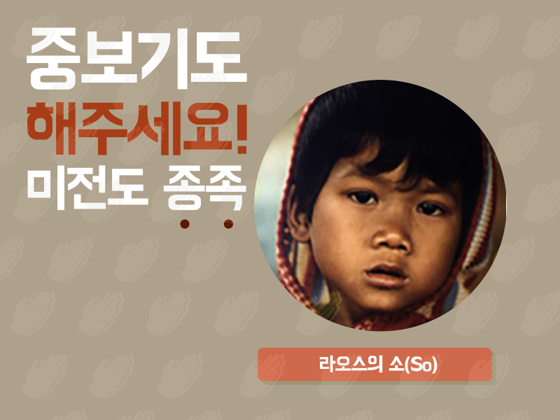 라오스의 소(So)