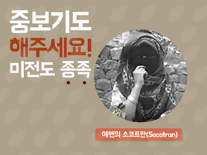 예멘의 소코트란(Socotran)