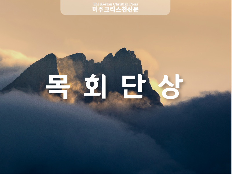 2024 하계 올림픽